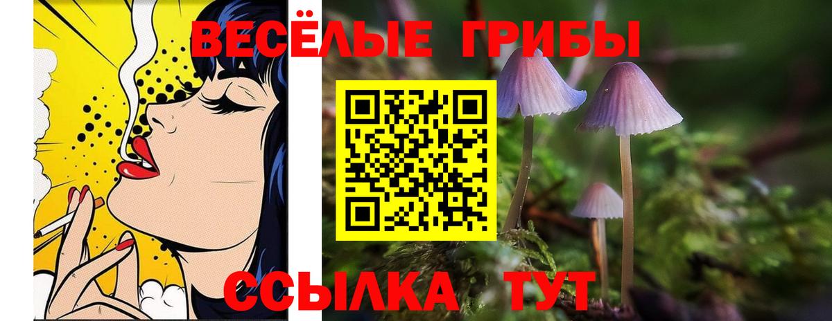 Псилоцибиновые грибы Cubensis  Вход с VPN  Красногорск 